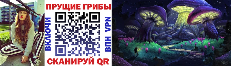 Галлюциногенные грибы Psilocybe  где купить наркоту  Бутурлиновка 